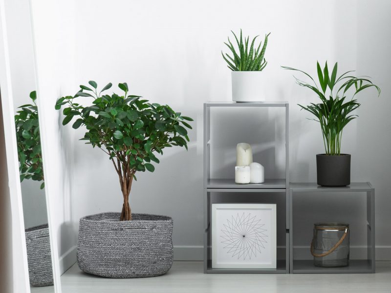 Bad Deko - Stile, Ideen und Farben - Dekoration.de