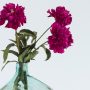 Herbstblumen: Dahlien in pink